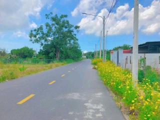 Bán đất đầu tư Khu Công Nghiệp Đất Đỏ - đường Phạm Duy Trinh 